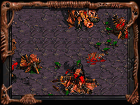 lings raze an enemy  town
